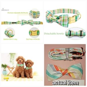 ARING PET Dog Collar Bowtie, Dog Collar with Bow, Adjustable, Cute, size M